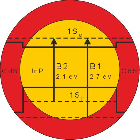 Figure From Multiple Exciton Generation And Dynamics In Inp Cds