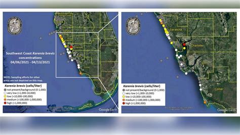 Red tide present at some Sarasota County beaches