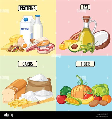 Protein Food Groups Stock Vector Images Alamy