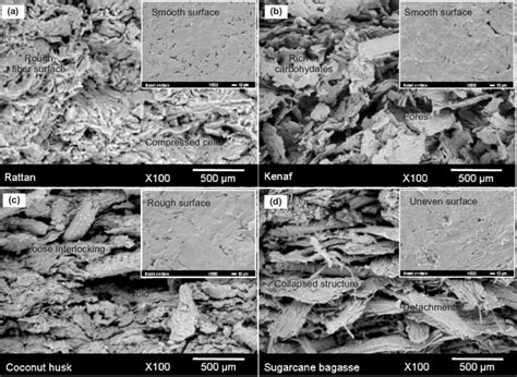 Scanning electron micrographs of cross-section and pressed surfaces of ...