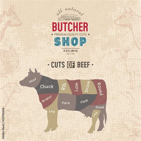 Cuts Of Beef Butcher Shop Retro Poster Stock Vector Adobe Stock