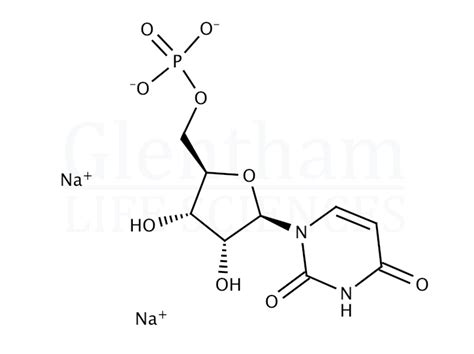 Uridine 5 Monophosphate Disodium Salt CAS 3387 36 8 Glentham Life