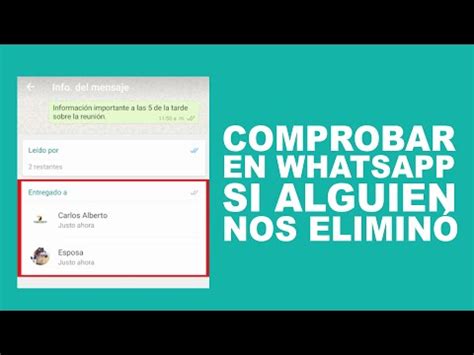 Como Saber Si Alguien Te Ha Bloqueado En Estados De Whatsapp Online