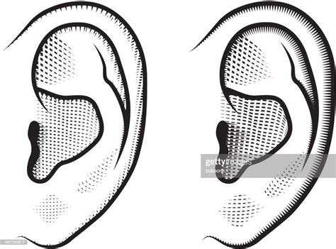 Ears Black And White Clip Art