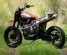 Triumph T100 Scrambler by Triumph Saint Lô BikeBound