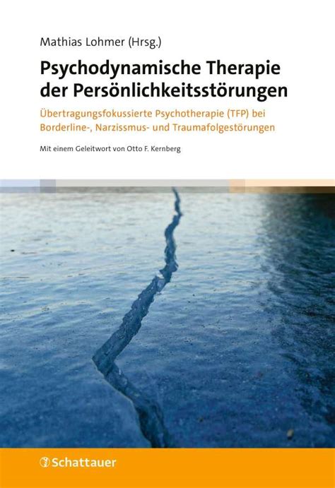 Psychodynamische Therapie Der Pers Nlichkeitsst Rungen Buch Jpc