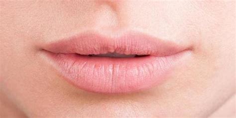 Top 7 ᐈ Enfermedades En Los Labios 【actualizado En 2025