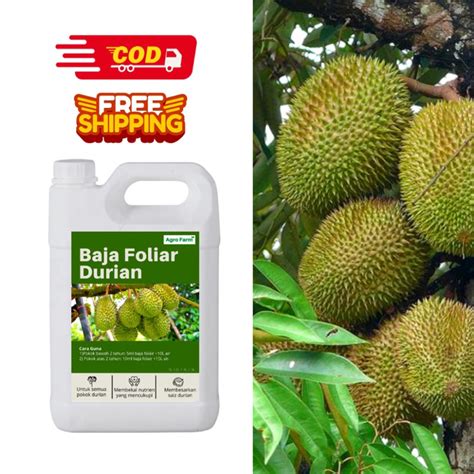 Agro Farm Baja Durian Baja Foliar Baja Pokok Durian Baja Organik