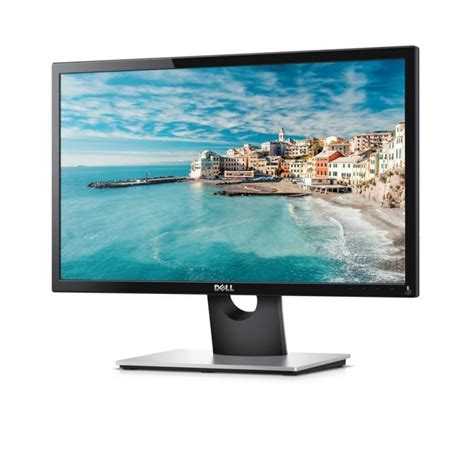 Inch Dell Se H X Lcd Monitor Black Back Market