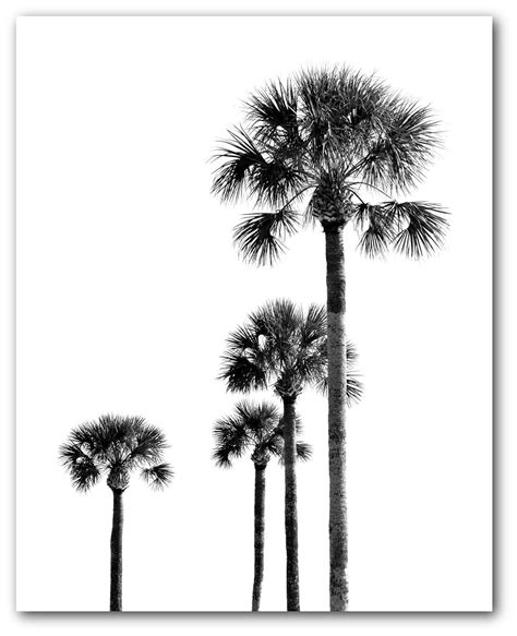 Amazon Palm Trees Black And White Print Tropical Palm Trees