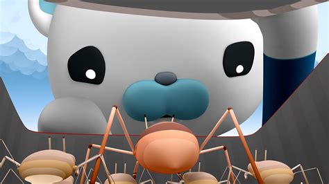 Bbc Iplayer Octonauts Series Sea Skaters