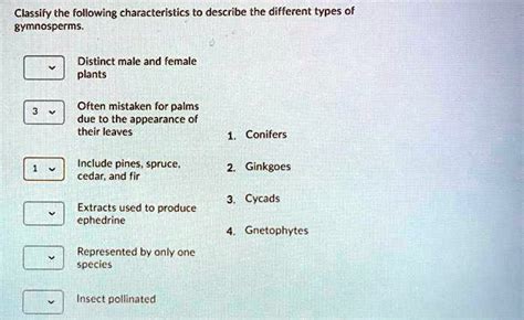 SOLVED: Classify the following characteristics to describe the ...