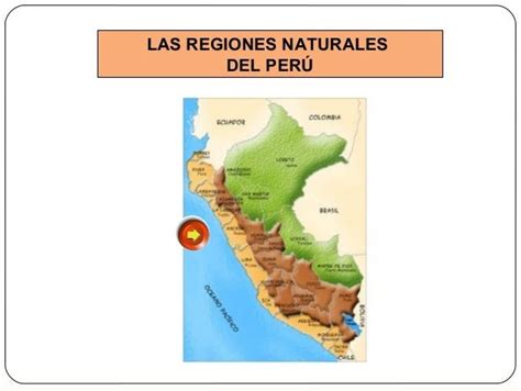 Descubre El Mapa Del Per Y Sus Ecorregiones Diciembre