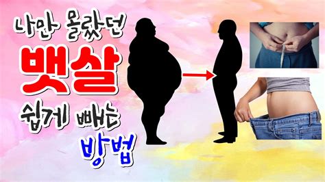 쉽게 뱃살 빼는 방법 내장지방 제거 피하지방 감량 다이어트 식사방법 식단