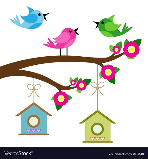 Birds Colorful And Birdhouse On Tree Branches Vector Image On