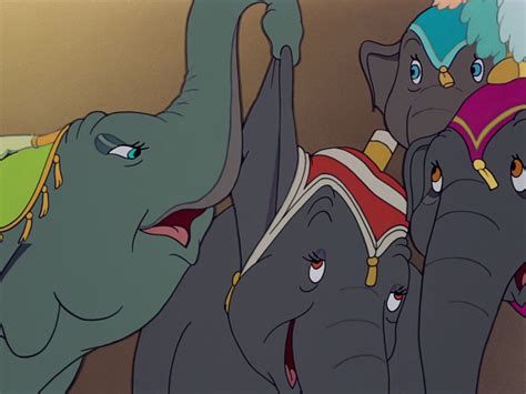 Dumbo Catty