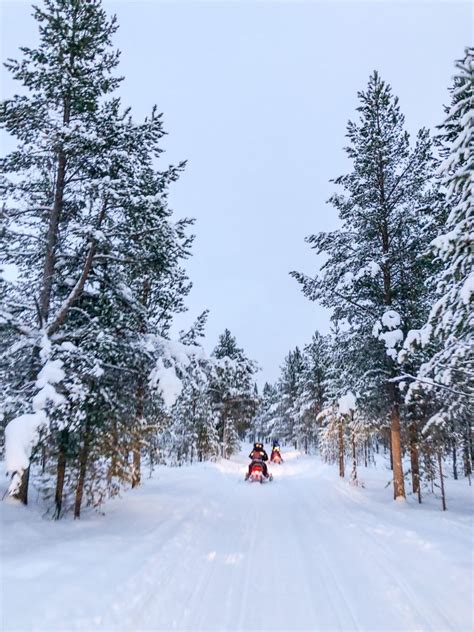 Why You Should Visit Lapland in Winter - thekittchen