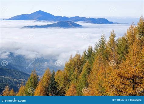 Autumnal mountain scenery stock image. Image of mountains - 101559719