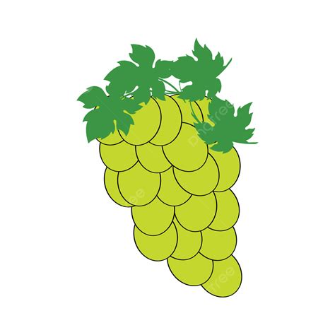 Grapes Vector Design Grapes Grapes Vector Grape Png And Vector With