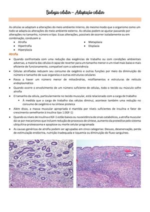 Resumen Biolog A Celular Molecular De Robertis Caps A Resumen De