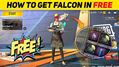 How To Get Falcon In Pubg Mobile Lite Pubg Lite Me Falcon Kaise Le