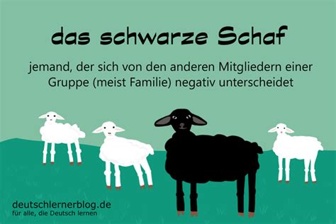 Das Schwarze Schaf Sein Redewendungen Mit Beispielen