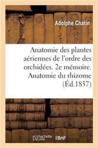 Anatomie Des Plantes A Riennes De L Ordre Des Orchid Es E M Moire