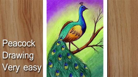 How to draw a peacock easy and simple, Simple scenery drawing for beginners