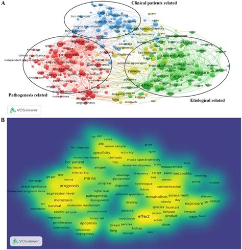 Integrative Analysis Of Dysregulated Lncrna Associated Cerna Network