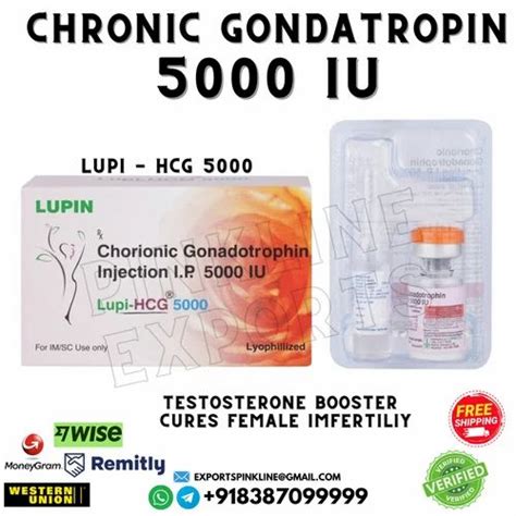 Human Chorionic Gonadotropin Iu Packaging Size Vial At Rs