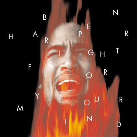 Ben Harper Excuse Me Mr Lyrics Musixmatch