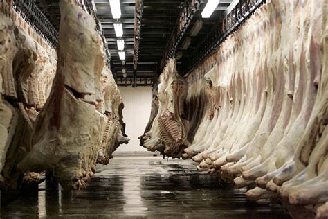 Spread Of Covid 19 At Alberta Meat Plants No Surprise National Observer