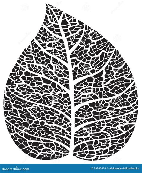 Black Leaf Skeleton Silhouette Stock Images - Image: 29745474