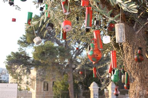 Bethlehem Museum Lights Christmas Olive Tree – Bethlehem Museum