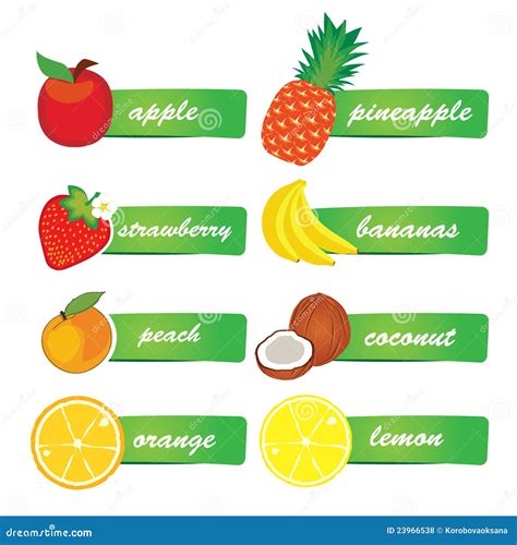 Vector Fruit Labels Stock Vector Illustration Of White