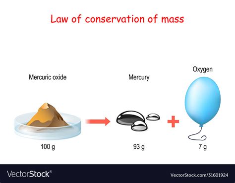 Law Conservation Mass Principle Royalty Free Vector Image