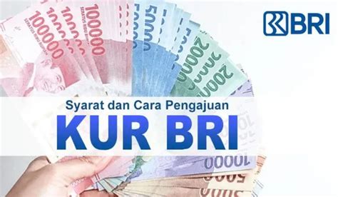 Panduan Lengkap Pinjaman Dana Kur Bri Syarat Cara Pengajuan