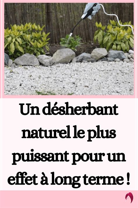 Puissant et Facile à Faire le Désherbant Maison au Vinaigre Blanc