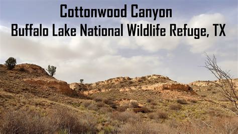 Cottonwood Canyon Hike Buffalo Lake National Wildlife Refuge Texas