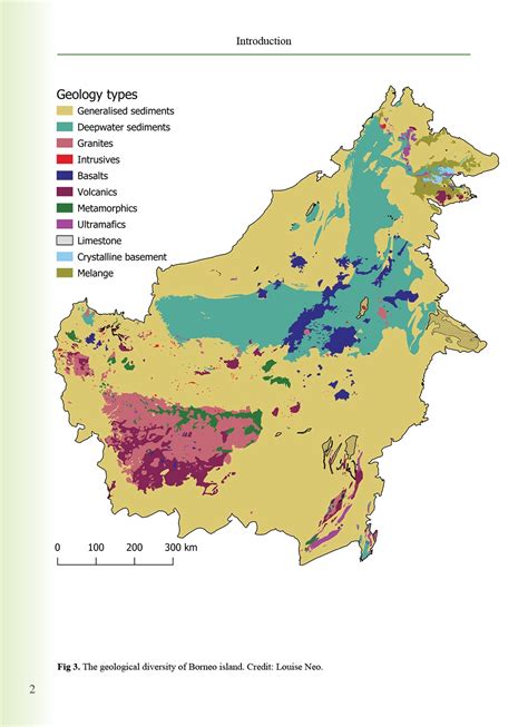 The Endemic Plant Genera In Borneo Natural History Publications Borneo