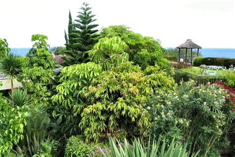 The Garden Of Vila Porto Mare