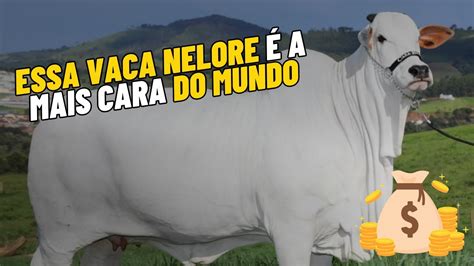 La Vaca M S Cara Del Mundo Agronoa