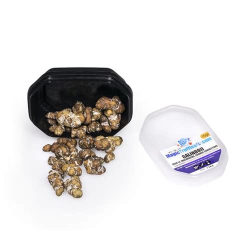 Gram Galindoii Magic Truffles Magic Truffles