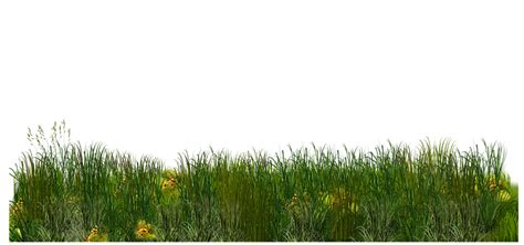 Meadow Png Free Png Image