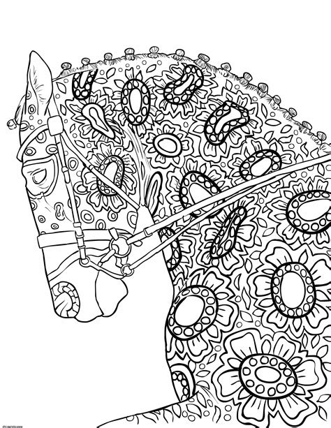 Plaisant Coloriage De Cheval Imprimer Image Idee De Coloriage