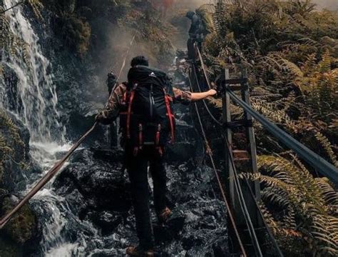 Inilah Cerita Horor Yang Sering Ditemui Para Pendaki Di Gunung Pangrango