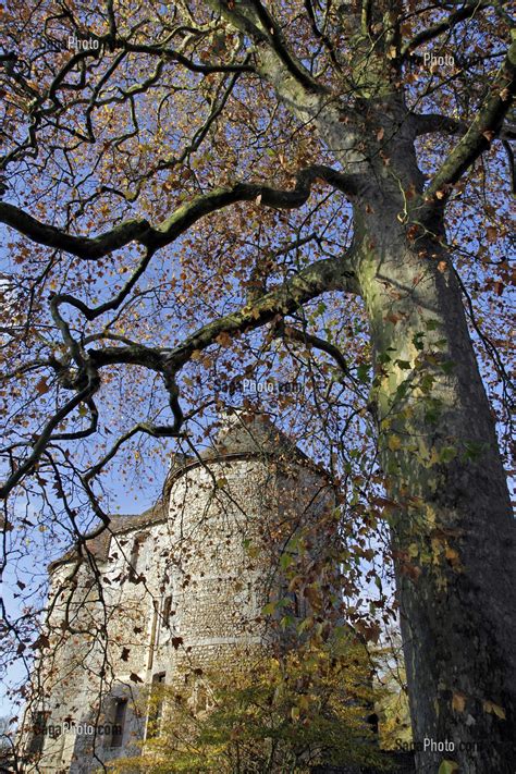 Photo De Couleurs D Automne Au Chateau Du Xi Eme Siecle Et Arboretum Du