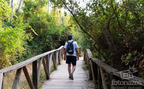 La Ruta Del R O Majaceite Descubre La Belleza Natural De La Sierra De