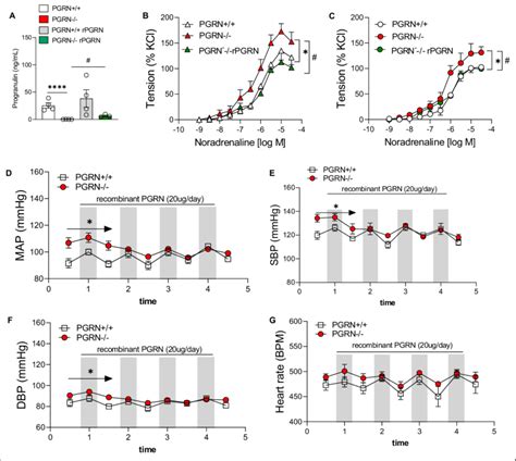 Progranulin Pgrn Treatment Restores Vascular Function And Blood