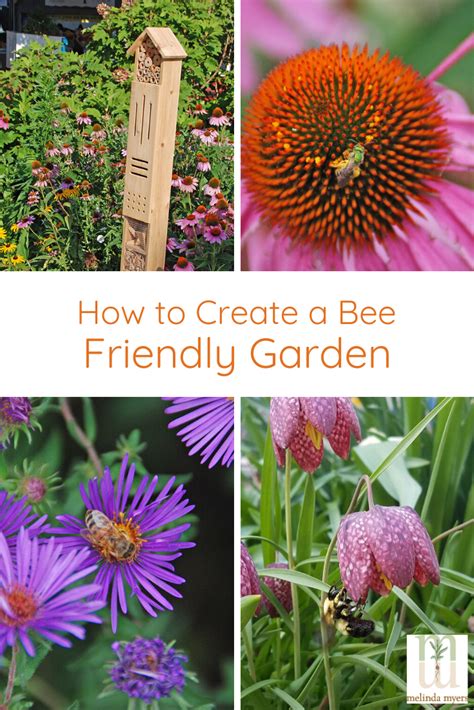 Creating A Bee Friendly Garden Bee Friendly Garden Bee Garden